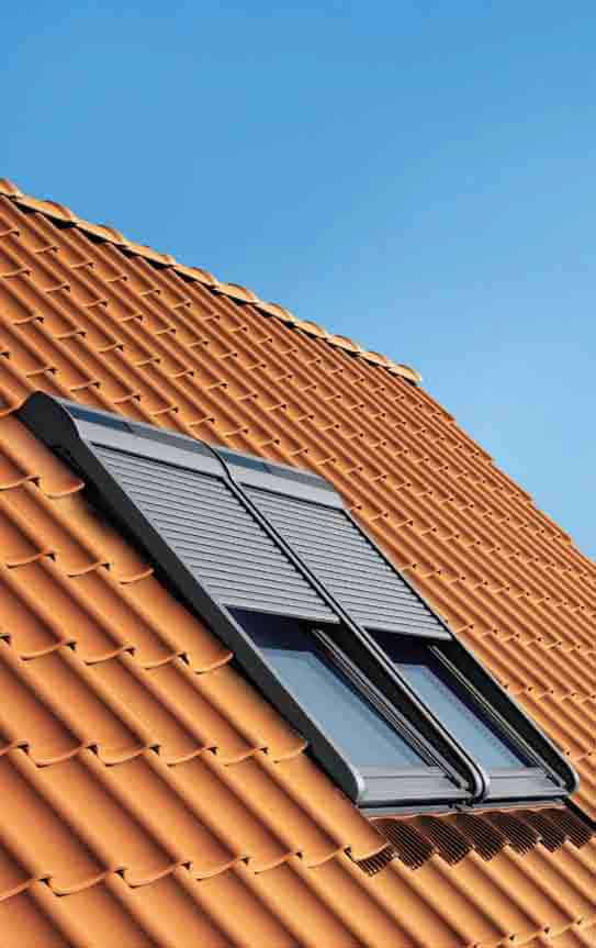 velux dijon dexter